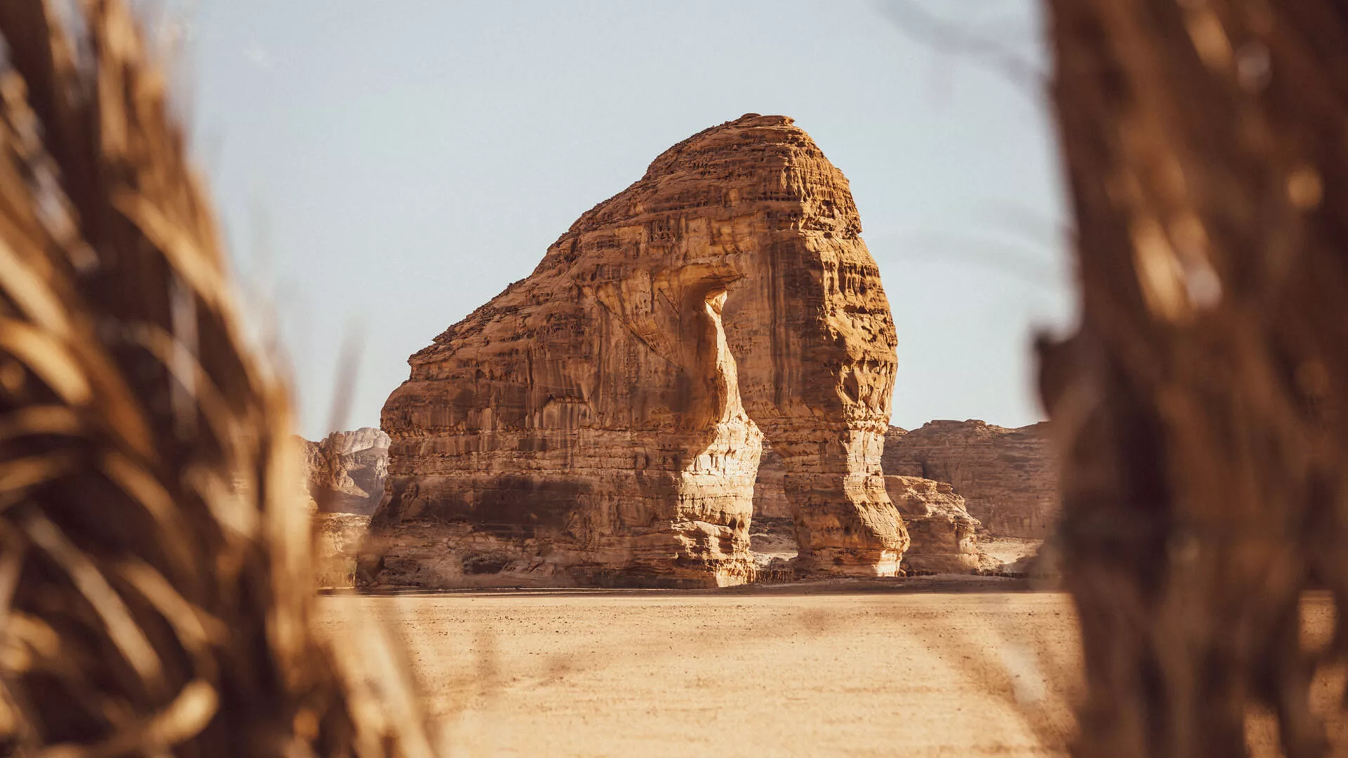 السعودية
